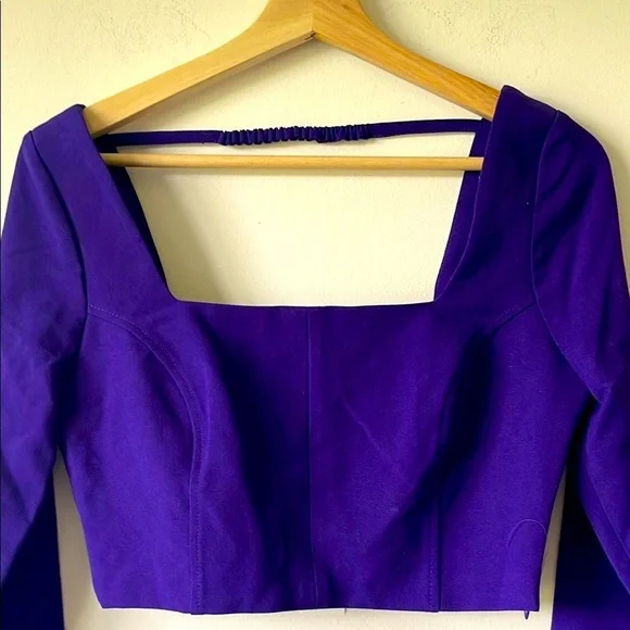 Zara Purple Crop Top Long Sleeve Fitted Crop Blouse - Picture 4 of 8